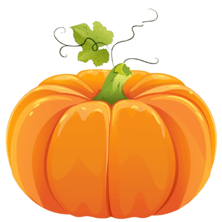 pumpkin Icon